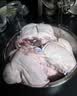 双汇猪小蹄膀净重3斤冷冻猪蹄膀猪肘子切块猪肉酱卤蹄髈 实拍图