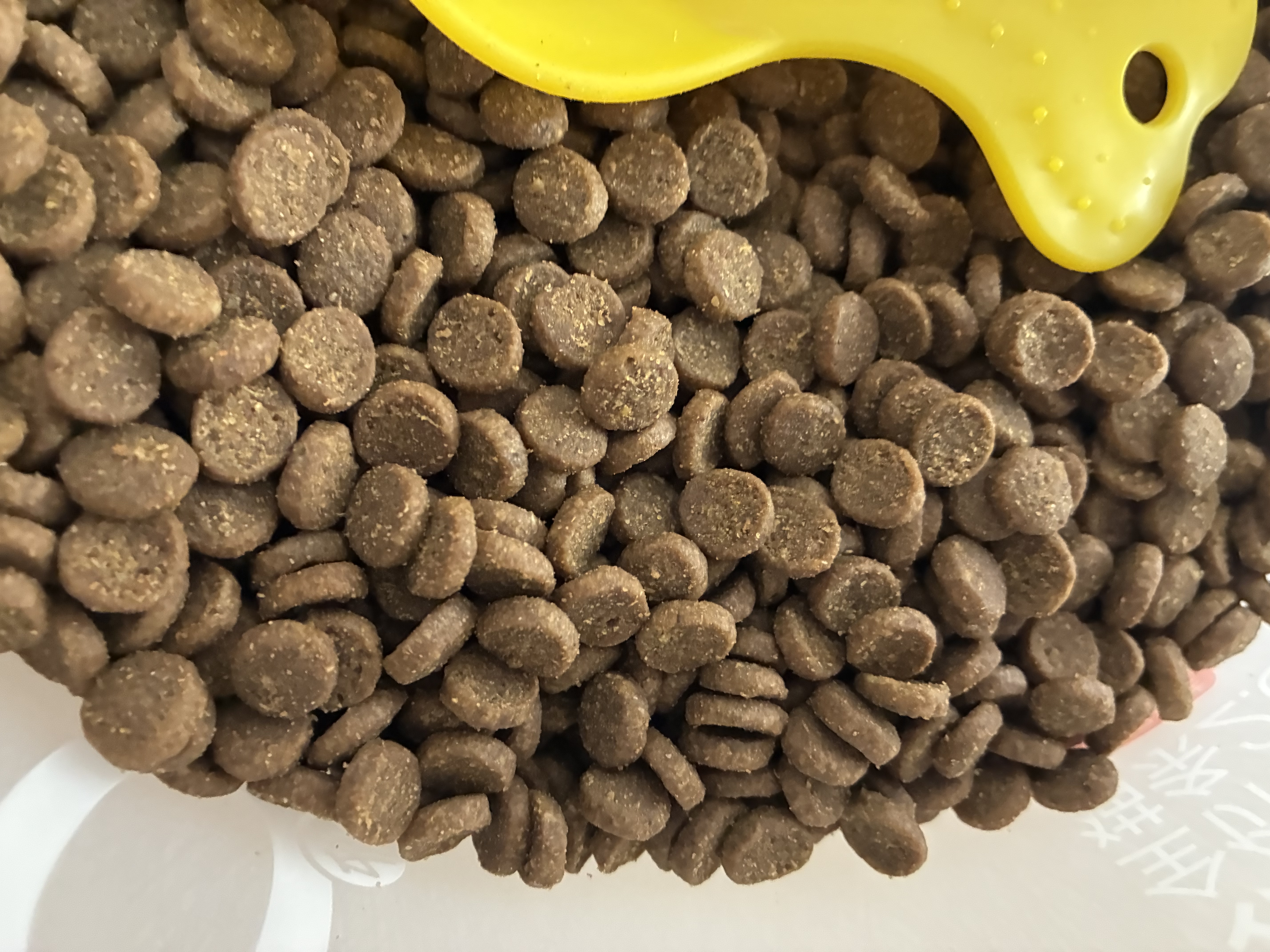 愛肯拿（ACANA）猫粮 牧场盛宴成猫幼猫粮 增肌发腮无谷进口鸡肉粮1.8kg效期27/5 实拍图