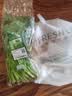 【火锅季】七鲜24小时富硒香芹苗 250g(长度≤40cm) 实拍图