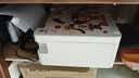 爱普生（EPSON）【6代新品】L3351墨仓式彩色打印机 微信打印/无线连接 家用AI学习打印机（打印、复印、扫描） 实拍图