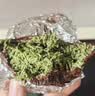 麦酥园 迪拜软曲奇开心果软糯巧克力正版休闲零食夹心雪媚娘混合味50g*4 实拍图