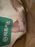 网易严选全价猫粮4.0 成幼猫三文鱼亮毛护肠胃深海鱼虾味10kg【宠物金选】 实拍图