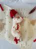 贝瑞加（Babyprints）婴儿连体衣男女宝宝秋冬保暖衣服夹棉加厚爬服柔软哈衣 红花59 实拍图