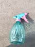 喷壶浇花浇水喷雾器气压式喷水壶家用园艺养花500ml 南瓜喷壶透蓝【1个装】 实拍图