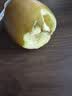 佳沛（zespri）新西兰阳光金奇异果6粒装88-103g猕猴桃水果中秋节礼品送水果礼盒 实拍图