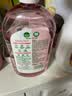 滴露（Dettol）衣物消毒液自然香氛洗衣除菌液 除螨48h留香1000ml*1灭活白念珠菌 实拍图