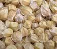 京觅东北姑娘果 净重4.5斤装 灯笼果黄菇娘洋菇茑 新鲜水果 源头直发 实拍图