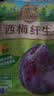 溜溜梅智利无核西梅干400g无添加蜜饯果干休闲零食孕妇办公室追剧水果干 实拍图