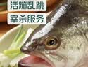鲜活冲浪河鲈鱼400-500g/条 中秋送礼家宴宴请 实拍图