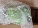 飘柔经典蓬松止痒洗发水京东自营男女士洗头膏露1KG 实拍图