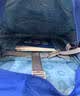 乐同书包减重护脊书包减负书包小学生123年级书包 牛顿小童宝蓝 实拍图