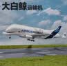 翊玄玩具大白鲸运输机飞机模型仿真合金航模飞机空中客机民航摆件玩具男孩 实拍图