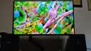 微星（MSI）流光X24 MAG 321UP QD-OLED X24 32英寸4K240Hz 三星第四代OLED电脑显示器 电竞显示屏 实拍图