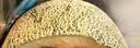 脆甜西州蜜瓜1粒约1.8kg 实拍图