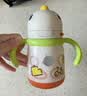 babycare儿童保温杯婴儿宝宝学饮杯吸管水杯水壶不锈钢300ml-新旧款混发 实拍图