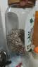 阴山优麦有机黑麦片1000g 高蛋白质 高膳食纤维  0添加蔗糖 营养早餐 实拍图