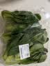 上海青约500g(油菜) 实拍图
