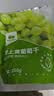 西域美农树上黄葡萄干250g 新疆特产大颗粒无籽 两次冲洗灭菌鲜甜无核 实拍图