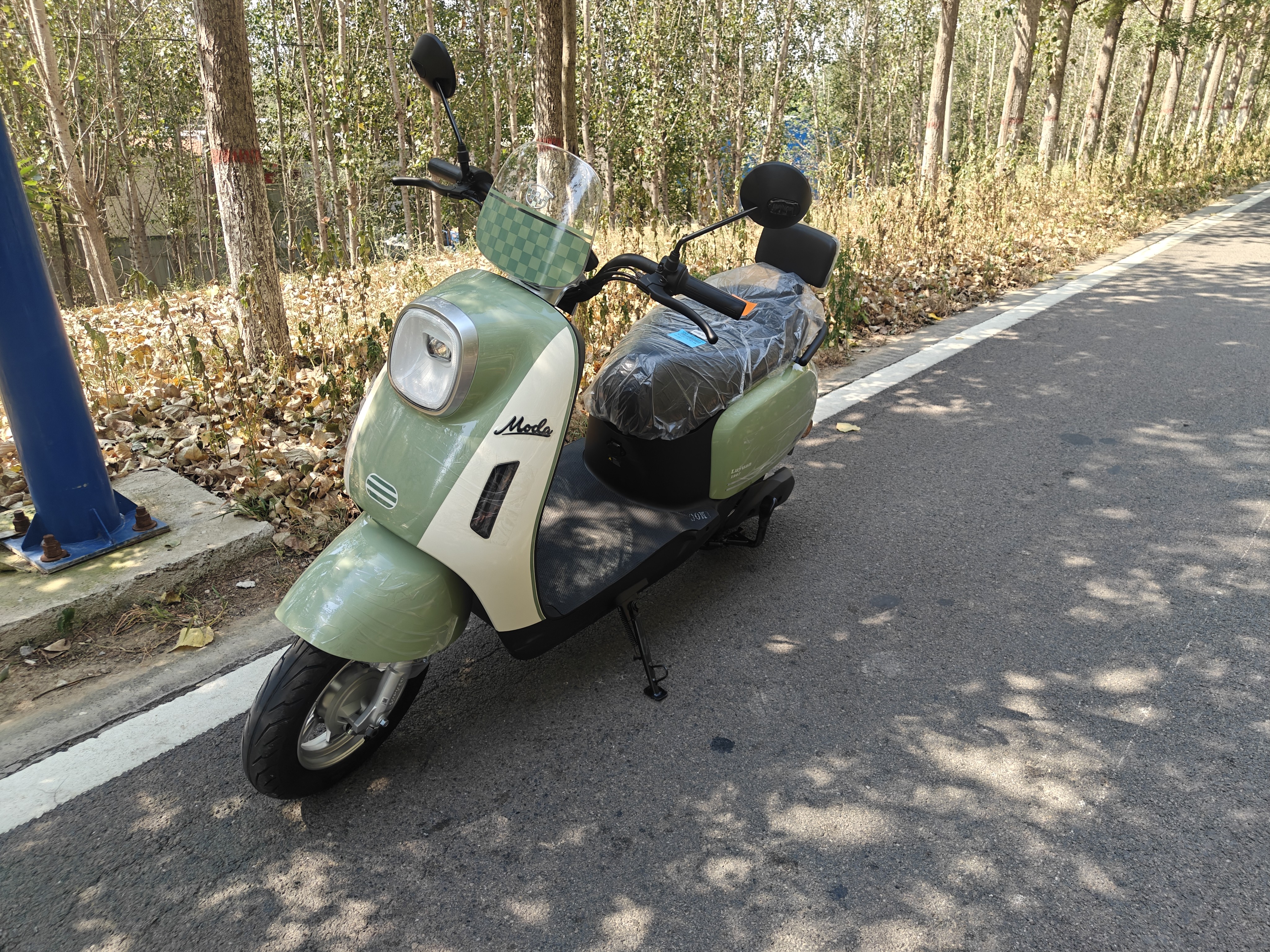 绿源（Luyuan）电动摩托车M7U74公里长续航国民好车60V5块铅酸电池大动力1000W电机电瓶车代步通勤维亚绿 实拍图