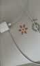Apple/苹果 60W type-c充电线-1米 usb-c手机数据线 原装旗舰店苹果iPhone 18 Pro Max iPad快充线 实拍图
