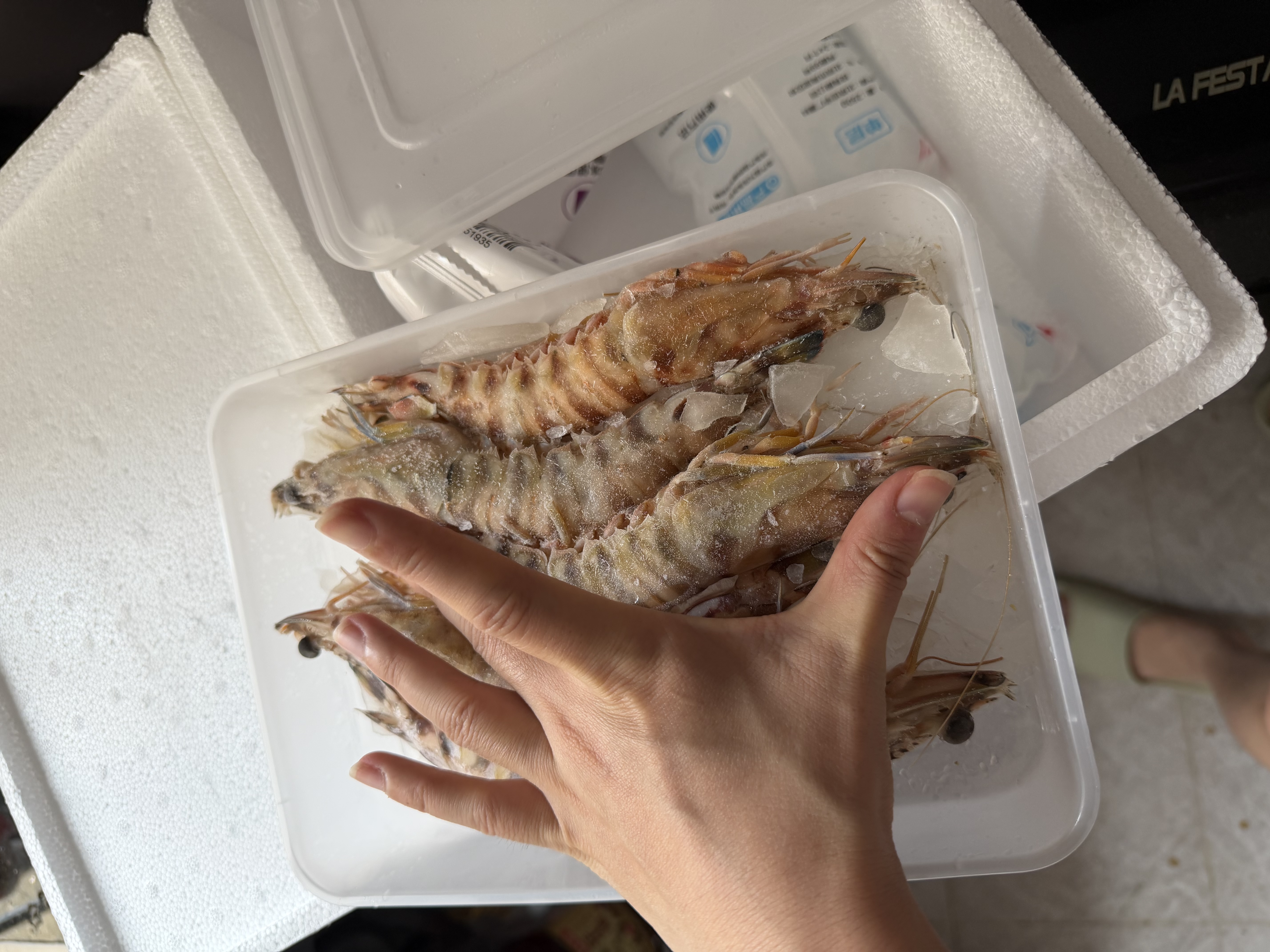 哆鲜生 海捕竹节虾 野外生长活冻国产斑节虾大花对虾九节竹节鬼虾虾类 特大号 5-6条 0.6斤(净重) 实拍图