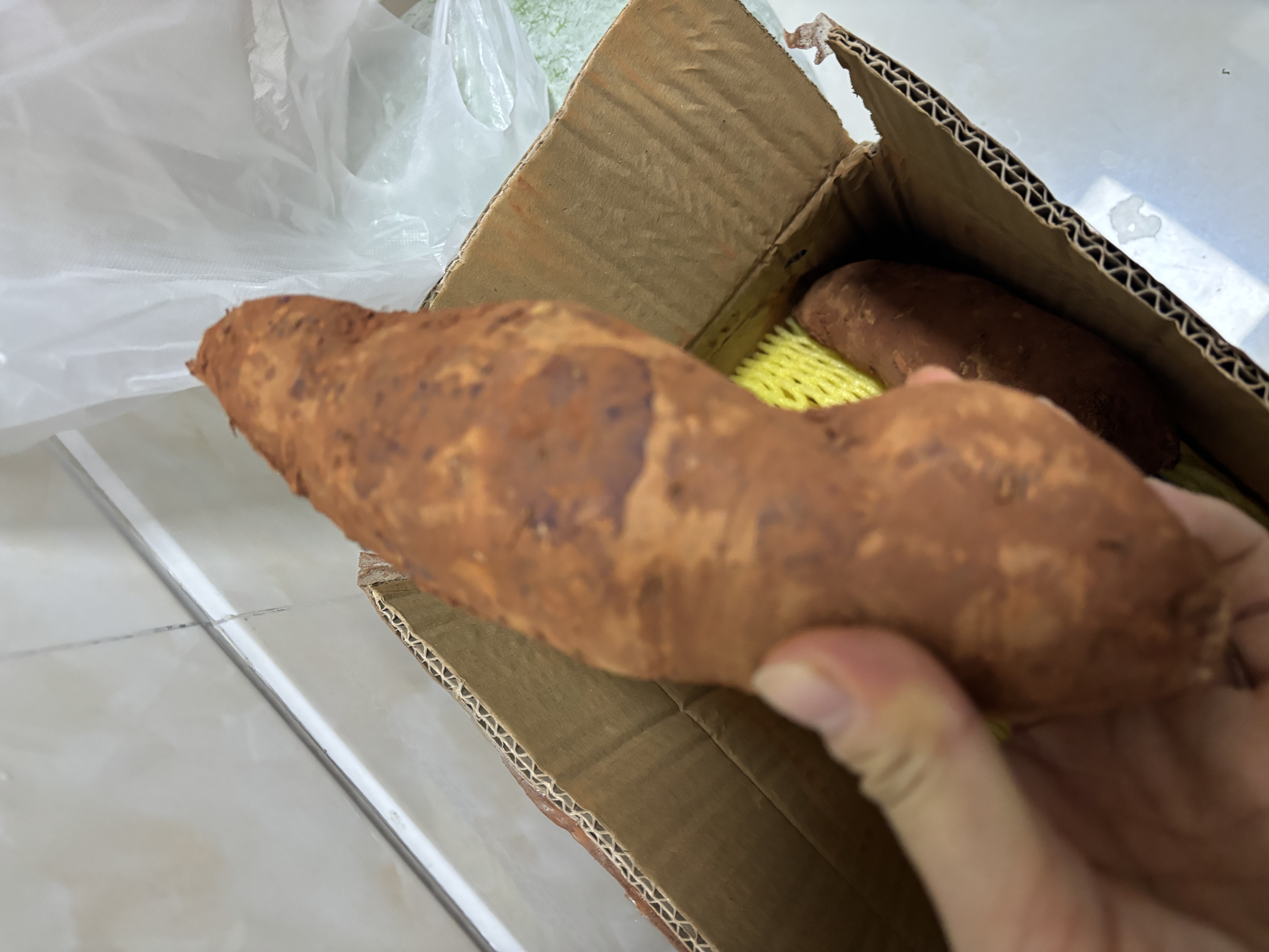京鲜生海南榴莲蜜薯-广西仓发货净重4.5斤单果50g+ 地瓜粗粮 源头直发 实拍图