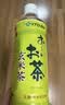 伊藤园（ITOEN）玄米茶 500ml*15瓶整箱 茶叶饮料 无糖茶饮料 0糖0脂0卡饮料养生 实拍图