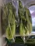 七鲜24小时富硒小油菜 250g 实拍图