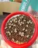 凯锐思天然猫粮成猫粮 鱼肉海洋鱼深海鱼天然粮 成猫20斤【囤货装】 实拍图
