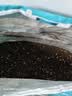 德沃多55L植物营养土通用养花土种菜有机土壤泥炭土绿植盆栽种植 实拍图