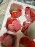 【热销百万单】正宗咸鸭蛋50g/枚饱满流油生鲜超市早餐新鲜即食 【限时特惠】20枚钜惠 实拍图