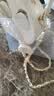 金运【新东方名师推荐丨30W大音量】小蜜蜂扩音器教师专用无线领夹麦克风教学防啸叫中秋节礼物M20 26年新款【轻奢小香包丨磁吸双麦】丝绒米白 【适合300人教室】30W峰值功率 实拍图