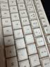 B.O.W 航世 K150 ipad蓝牙键盘鼠标套装pro带卡槽办公键鼠 男女生适用安卓ipad平板笔记本电脑无线键鼠 奶咖色【三蓝牙键盘+白鼠标】丨支持多设备连接 实拍图