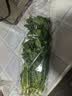 【蘸酱菜】螺丝椒 约300g 实拍图