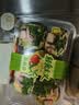鸡肉鸡蛋减脂沙拉315g 实拍图