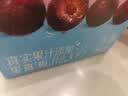 蒙牛真果粒牛奶饮品东魁杨梅味含乳饮料250g×12盒 卡皮巴拉礼盒 实拍图