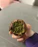 碧翠园迪拜软曲奇巧克力开心果夹心可可脂休闲零食4只装【源头直发】 实拍图