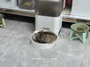 多特思湿猫粮幼猫奶糕酱离乳期幼猫零食猫条进口羊乳羊奶益生元猫条25支 实拍图