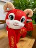 慕曦贝儿羊年吉祥物公仔生肖羊毛绒玩具仿真羊玩偶布娃娃新年年会礼品活动 发羊财25CM 颜色混搭/单个价格，量大有优惠 晒单实拍图