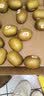 佳沛（zespri）新西兰金奇异果16粒经典果88-103g猕猴桃中秋节礼品送水果礼盒 实拍图