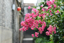 尼康（Nikon） 尼康单反相机镜头/50定焦/35定焦/85定焦/光圈1.8/1.4/定焦镜头 适用尼康单反相机F口 尼康AF 50mmf-1.4D定焦镜头 实拍图