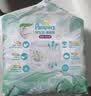 帮宝适（Pampers）清新帮尿不湿婴儿纸尿裤 XXL68片【拉拉裤】 实拍图