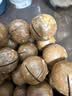 三只松鼠京觅联名夏威夷果1000g24-26mm儿童每日坚果炒货休闲零食团购送礼 实拍图