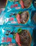 双塔粉条纯红薯粉条1000g 粉丝南北干货火锅食材地瓜粉炖菜火锅酸辣粉 实拍图