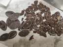 法芙娜（VALRHONA）法国黑巧克力豆纯可可脂烘焙蛋糕圭那亚70%250g 实拍图