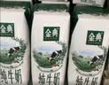 伊利【新鲜日期】金典纯牛奶200ml*24盒3.6g乳蛋白中秋礼品礼盒装 实拍图