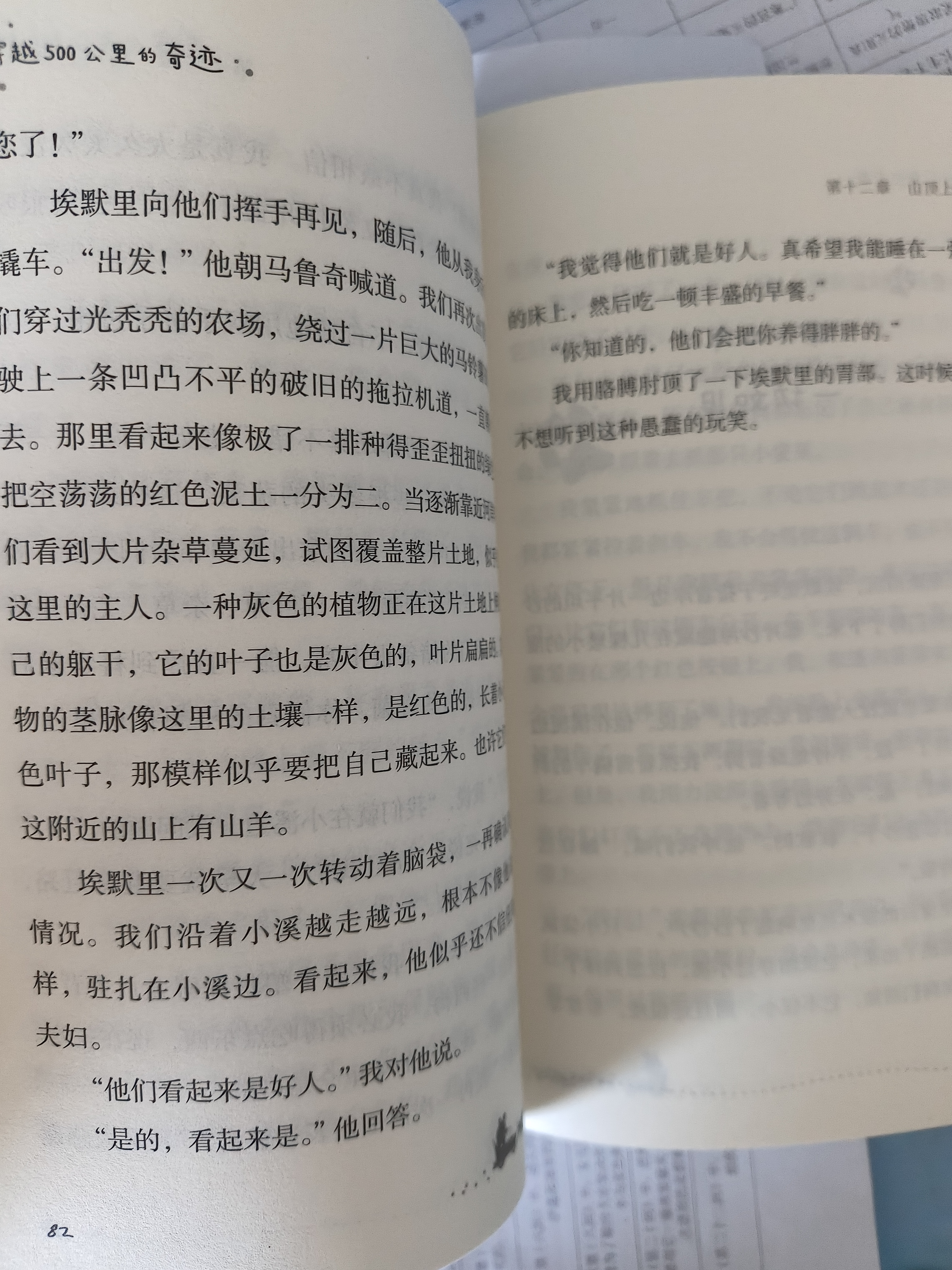 穿越500公里的奇迹 动物小说 年货 寒假 小学生课外读物 童书 儿童读物儿童文学暑期阅读 暑假作业 必读书目 实拍图