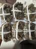 【活蟹】阳澄联合鲜活大闸蟹现货全母蟹 3.0-3.3两 8只生鲜螃蟹精品礼品盒 实拍图