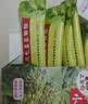 【2盒装】三公仔小儿七星茶颗粒7g*10袋 消食化积儿童清热积食便秘开胃消滞肠胃调理儿科专科用药 实拍图
