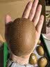 佳沛（zespri）新西兰金奇异果10粒巨大果146-175g猕猴桃水果礼盒 实拍图